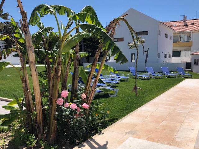 Silver Seahorse Garden Retreat Atouguia Da Baleia Extérieur photo
